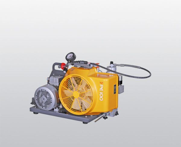 PE 100