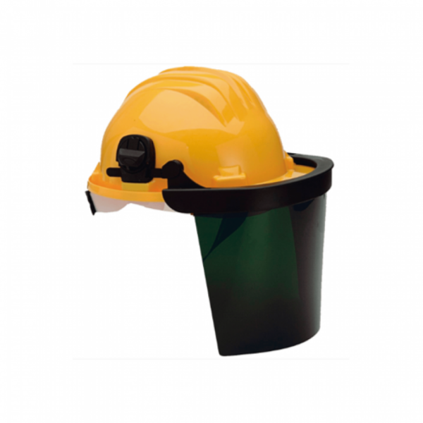 436 V Facial shield